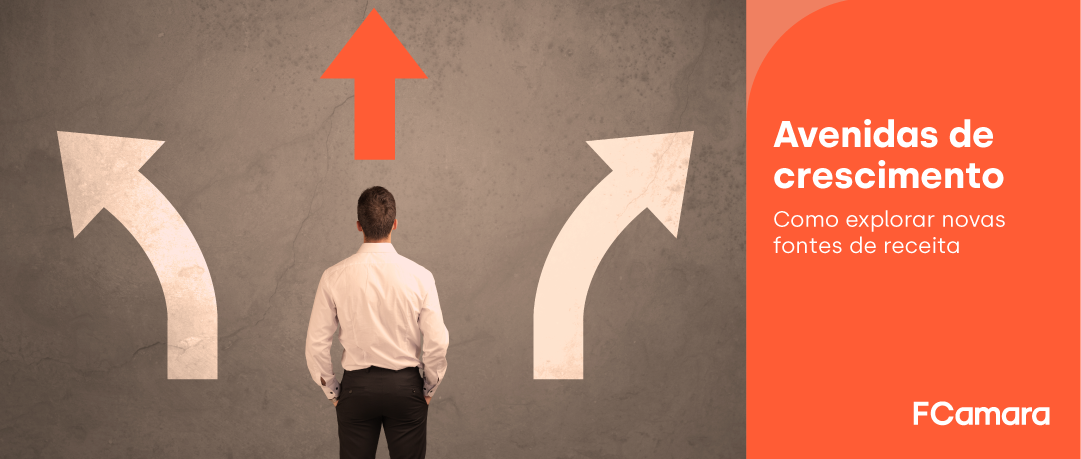 Profissional decidindo entre avenidas de crescimento