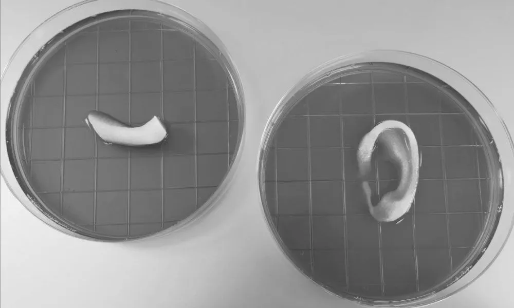 Próteses criadas por uma impressora 3D no Instituto de Medicina Regenerativa Wake Forest